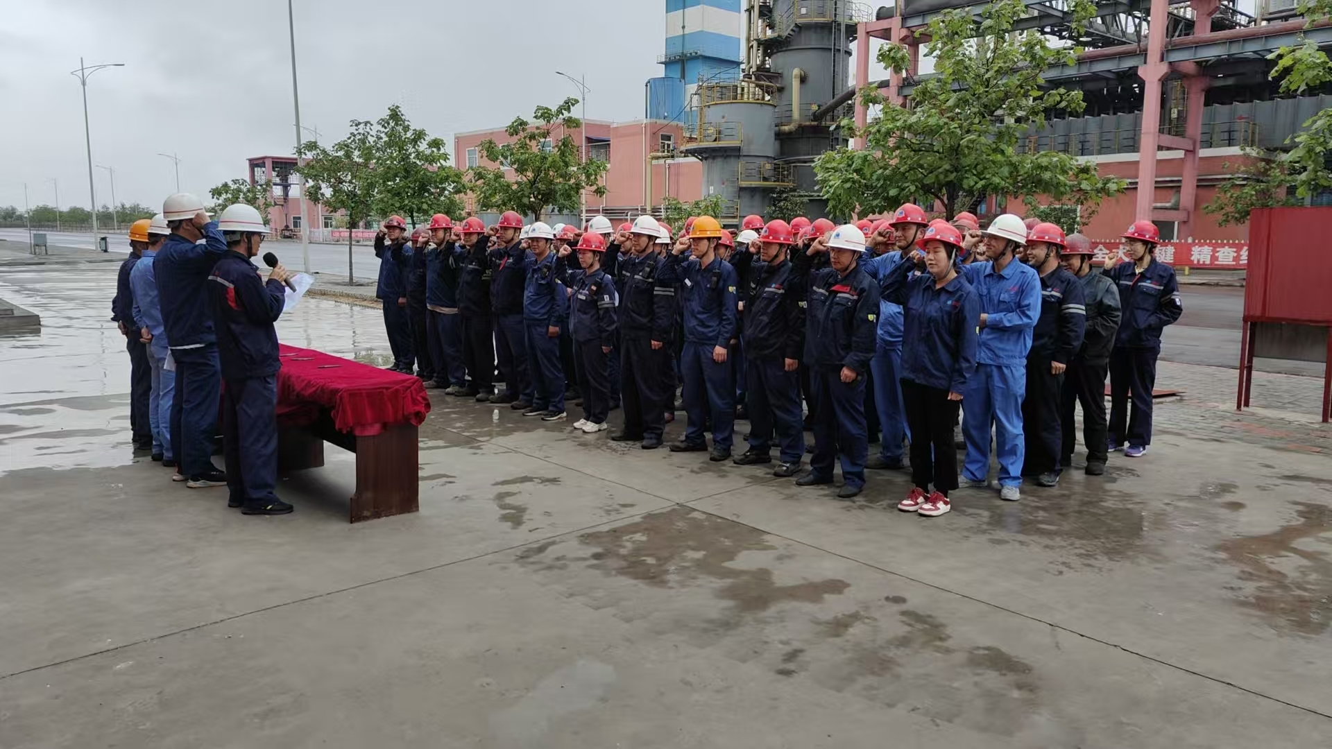 13d00ed4-4107-11f0-887c-8cbd52c5c617.jpg 13d00ed4-4107-11f0-887c-8cbd52c5c617.jpg